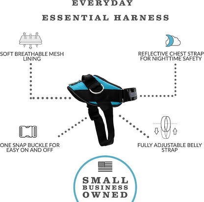 ShawnCo Essential Dog Harness, No-Pull Pet Vest with 3 Leash Clips, No Choke, Reflective, Adjustable and Padded, for Easy Walking and Training for Small, Medium and Large Dogs (Oceanic Blue, XS)