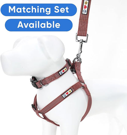 Pawtitas Marsala Brown Dog Leash 6 ft M/L Reflective Durable Lightweight Dog Lead for Medium or Large Dogs and Puppies