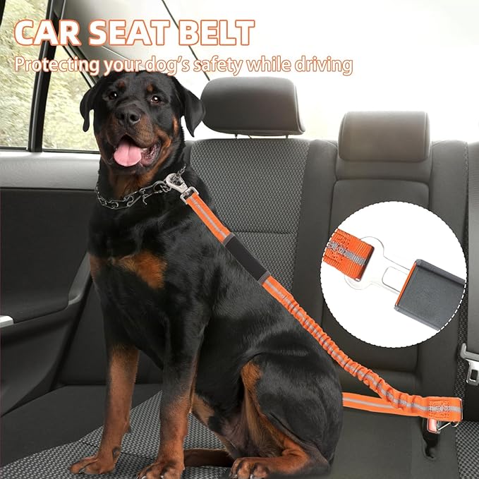 PUPTECK Heavy Duty Bungee Leash for Medium Large Dogs, No Pull Tactical Dog Leash with Double Handles for Training, Reflective with Car Seatbelt and Quick Release Buckle, Orange