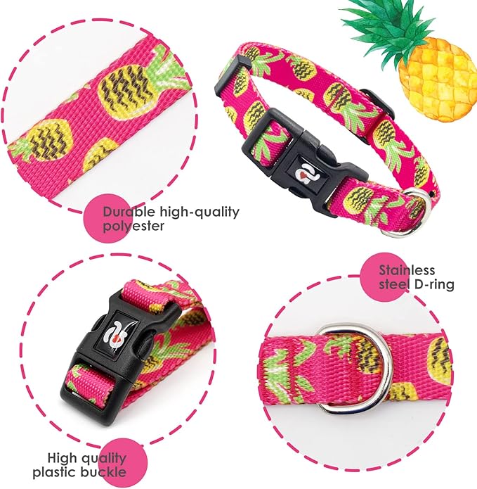 azuza Dog Collar and Leash Set, Pineapple Patterns on Nylon Collar and Matching Leash, Large Dog Collar for Large Dogs