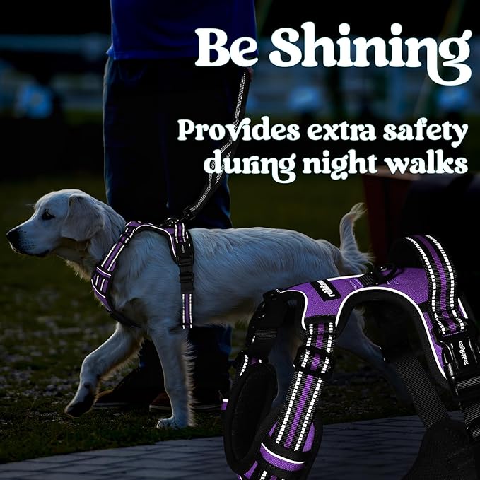 rabbitgoo Dog Harness Medium Sized, No Pull Pet Harness with 3 Buckles, Adjustable Soft Padded Vest with Control Handle, Walking Reflective Pet Vest for Medium Dogs, Purple, M
