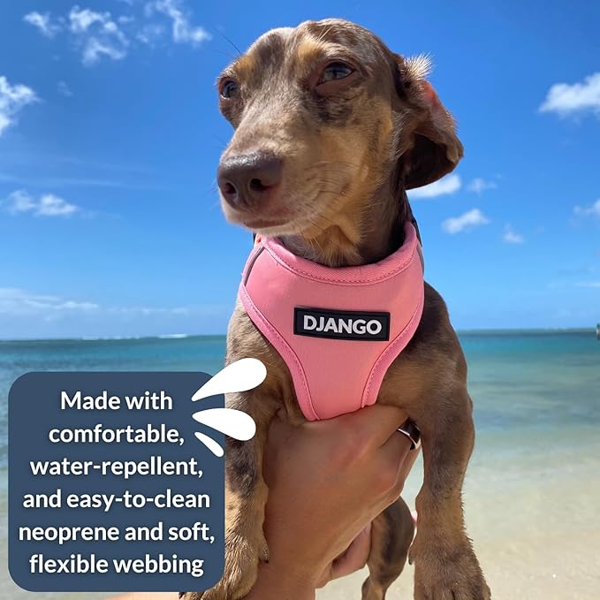 DJANGO Adventure Dog Harness - Stylish, and Durable Small Dog Harness for Outdoor Adventures and Everyday Wear - Quartz Pink Neoprene Adjustable Harness for Dogs with Reflective Piping, Brass D-Ring