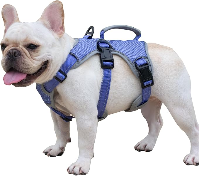 Huntboo Escape Proof Dog Harness, Escape Artist Harness, Reflective Dog Harness with Handle, Durable,Adjustable Vest for Small Medium Large Dogs Walking, Training,and Running Gear(Technicolor Blue,XL)