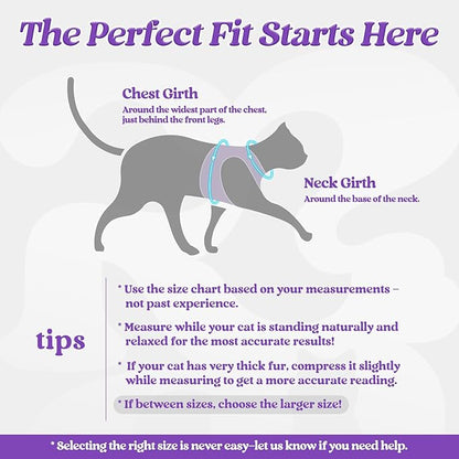 rabbitgoo Cat Harness and Leash Set for Walking Escape Proof, Adjustable Soft Kittens Vest with Reflective Strip for Cats, Comfortable Outdoor Vest, Purple, L