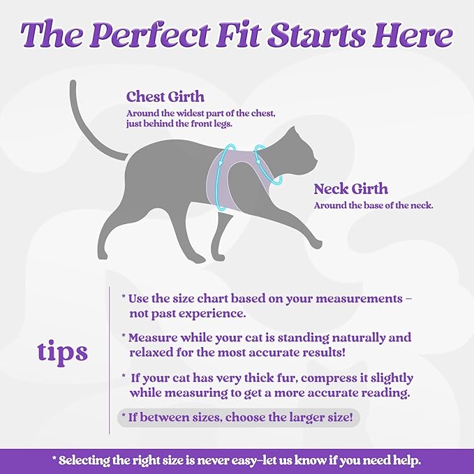 rabbitgoo Cat Harness and Leash Set for Walking Escape Proof, Adjustable Soft Kittens Vest with Reflective Strip for Cats, Comfortable Outdoor Vest, Purple, XL
