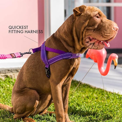 EzyDog Quick Fit Dog Harness – No Pull Harness for Training, Everyday Walking, and Easy Control - Adjustable Fit, Reflective, and Padded (Small, Purple)