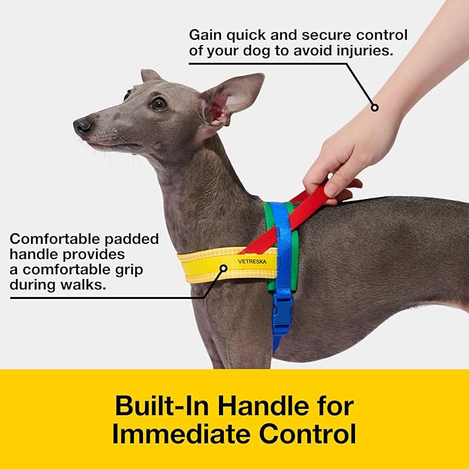 VETRESKA MoMA Dog Harness and Leash Set, Easy Walk Dog Harness for Small Medium Dogs, No Pull Puppy Harness for Walking and Training, Adjustable, Take Control & Anti-Twist Pet Lead Combo(Yellow, XS)