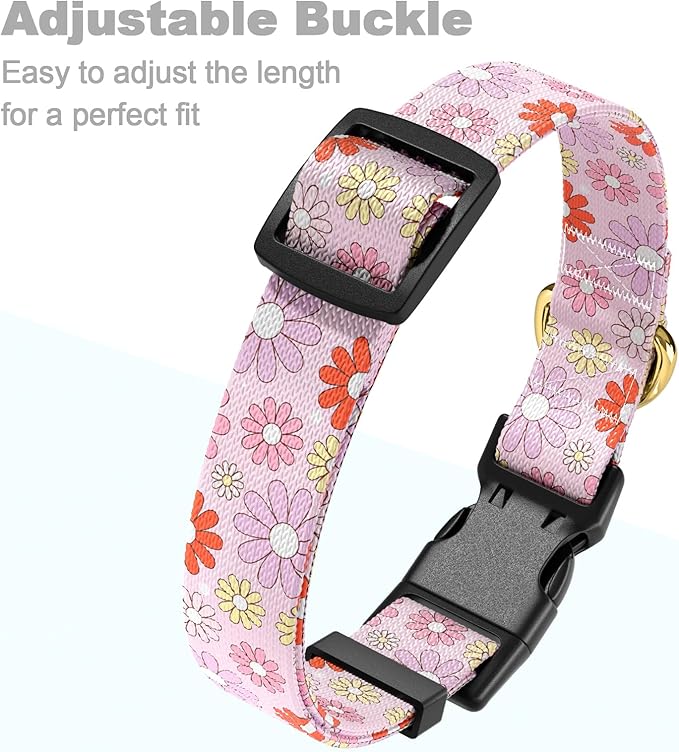 Rnivvi Dog Collar for Small Dogs, Cute Heavy Duty Adjustable Puppy Collar with Quick Release Buckle for Girl & Female, Pet Accessories for Walking Running, XS Length 5/8" Width, Colorful Chamomile