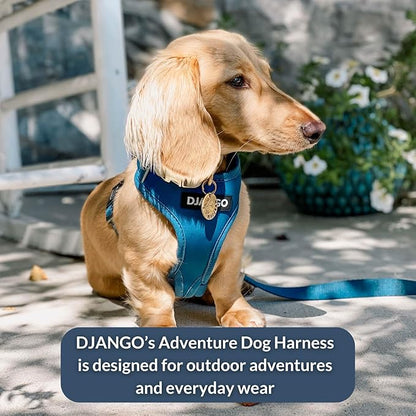 DJANGO Adventure Dog Harness - Stylish and Durable Large Dog Harness for Outdoor Adventures and Everyday Wear - Indigo Blue Neoprene Adjustable Harness for Dogs with Reflective Piping & Brass D-Ring