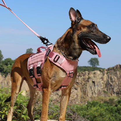 ICEFANG GN3 Tactical Dog Harness for Medium Dogs, 6X Quick-Release Buckles,Dog Molle Vest with Handle,3/4 Body, Hook and Loop Panel for ID Patch,No Pulling Front Clip (M (Chest :25"-31"), Pink)