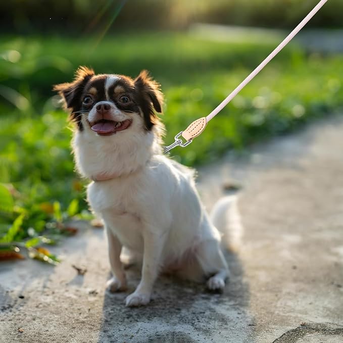 Mile High Life Small Dog Leash, Thin Lightweight Reflective Rope Leash with Genuine Leather Connection, Great for Small Medium Dogs (Pink, 60 Inch-1/3)