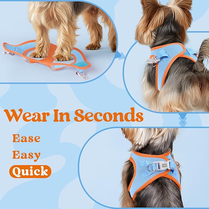 rabbitgoo Small Dog Harness, Step-in Soft Mesh Puppy Vest with Safety Buckle, Breathable Reflective Pet Harness for Small Medium Dogs, Blue & Orange XL