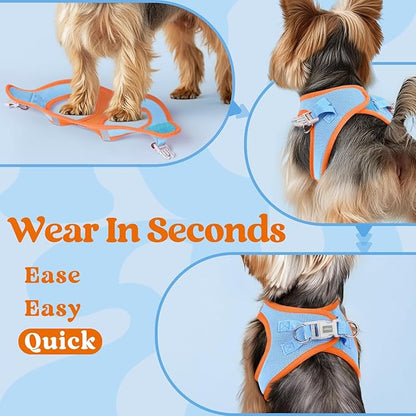 rabbitgoo Small Dog Harness, Step-in Soft Mesh Puppy Vest with Safety Buckle, Breathable Reflective Pet Harness for Small Medium Dogs, Blue & Orange XL