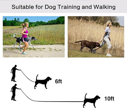 10ft Mint Blue Dog Leashes Long Line Training Leash,for Large,Medium and Small Dogs,Long Puppy Lead,for Training,Backyard,Camping,or Play,Great for Parks and Fetch (10FT, Mint Blue)