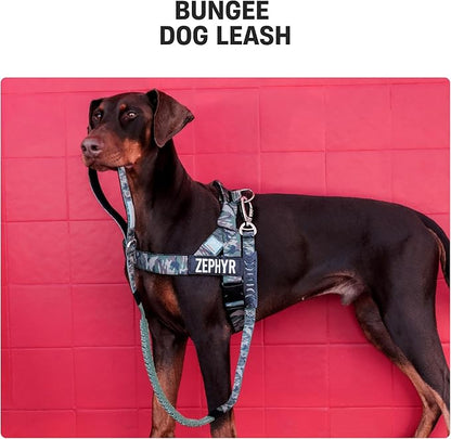 DF Co. Bungee Dog Leash | Strain Free & Shock Resistant for Control | Neoprene Padded Handle, Heavy-Duty Carabiner Clip, and D-Ring | Pink, Size Regular