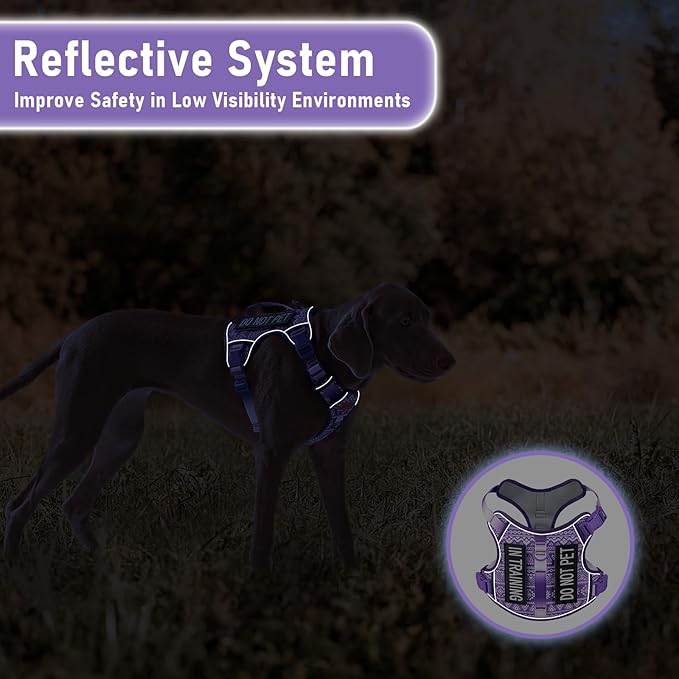 Tactical Dog Harness X-Large No Pull Easy Walker, Escape Proof Harness Vest with Handle, Reflective Vest with 2 Leash Clips and 3 Buckles, Newfoundland Alaska German Shepherd Mastiffs, XL