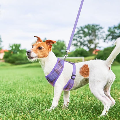 SCENEREAL Puppy Dog Harness with Leash Set for Small Medium Sized Dogs, Soft Mesh Step in Pet Harnesses and Leash, No Chock Plaid Adjustable No Pull Vest for Dogs Cats, Chihuahua,Bulldog (Purple S)