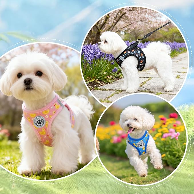 BEAUTYZOO Dog Harness Small Sized and Leash Set, Step-in Soft Padded Mesh Puppy Vest, Reflective Dog Harness No Pull No Choke, Breathable Easy Walking Vest Harnesses for Girl Boy Pets,Pink Ducks XS