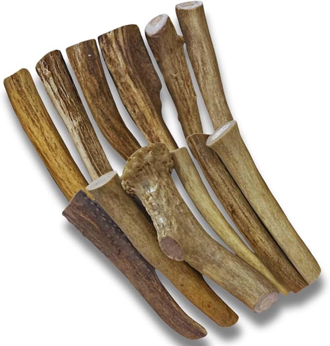 WhiteTail Naturals - Deer Antlers for Extra Small Dogs (12 Pack) Natural Dog Antler Chews for Puppies & Small Aggressive Chewers - Long Lasting Chew Bones