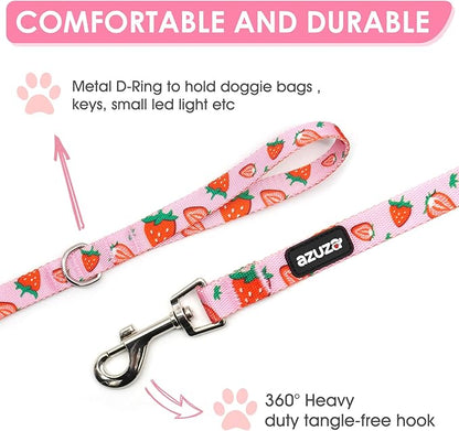 azuza Dog Collar and Leash Set, Cute Strawberry Patterns on Pink Nylon Collar and Matching Leash, Great Option for Extra Small Dogs