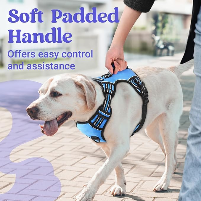 rabbitgoo Dog Harness for Large Dogs, No Pull Pet Harness with Soft Padded Handle, Adjustable Reflective Vest with 3 Buckles, Easy Walking Harness with 2 Leash Clips, Light Blue, XL