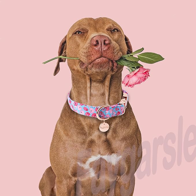Faygarsle Blue Pink Dog Collar for Small Medium Large Dogs Cute Puppy Collars for Female Dogs Floral Dog Collars for Summer Spring Wedding Necklace Girl Dog Collar M