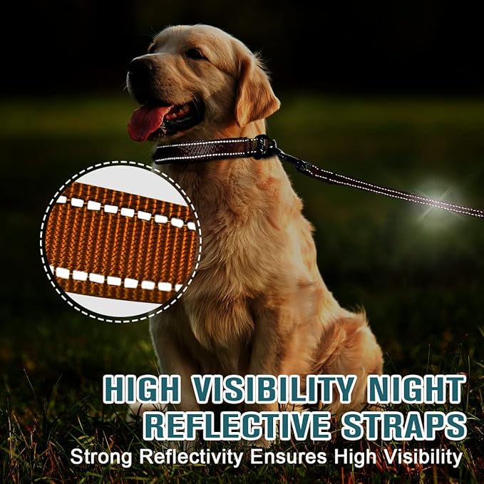 Dog Collar for Medium Small Large Dogs Reflective with Leash,Collar and Leash for Dogs,Soft Neoprene Padded 2 Pack(Orange,XS)