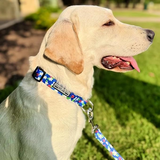 Lucky Love Dog - Adjustable Dog Collar with Easy Click Buckle for Large Ones, Durable, & Comfortable for Male & Female Dogs, Pet Collar for Puppies & Adult Dogs - Lilian, Large