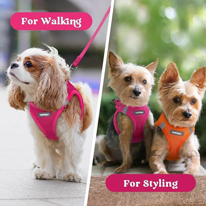 rabbitgoo Small Dog Harness, Step-in Soft Mesh Puppy Vest with Safety Buckle, Breathable Reflective Pet Harness for Small Sized Dogs, Rose Red XS