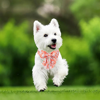 Orange Flower Bowtie Dog Collar - Summer Collar for Puppy Boy Girl, Comfortable Cotton With Metal Buckle, M