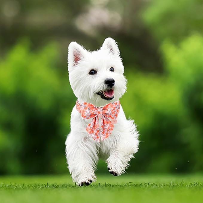 Dog Collar with Bow Tie,UP URARA PUP Orange Flower Bowtie Dog Collar, Summer Bowtie Collar for Puppy Boy Girl Dog, Comfortable Cotton Dog Collar with Metal Buckle,L