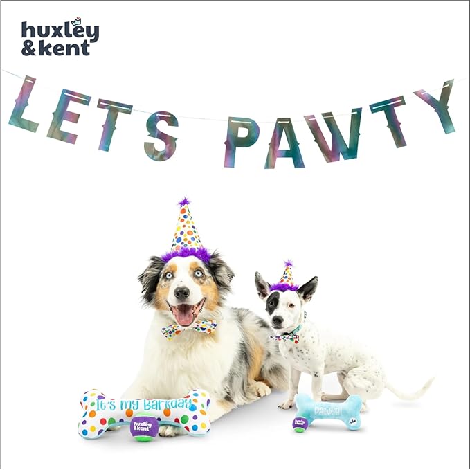 Huxley & Kent Celebration Box for Dogs - Fun Gift Kit with Plush Squeaky Toys, Party Hat, Bow Tie & Banner - Birthday, Gotcha Day & Special Occasion Dog Kit - Happy Barkday Box, Small