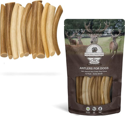 WhiteTail Naturals - Deer Antlers for Extra Small Dogs (12 Pack) Natural Dog Antler Chews for Puppies & Small Aggressive Chewers - Long Lasting Chew Bones