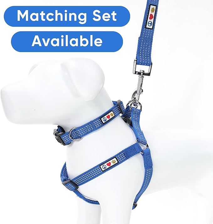 Pawtitas Blue Dog Leash 6 ft M/L Reflective Durable Lightweight Dog Lead for Medium or Large Dogs and Puppies