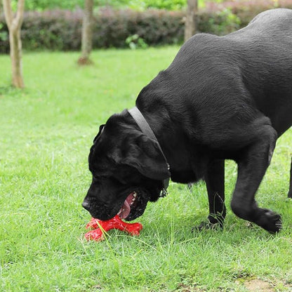 CVALIN Dog Chew Toys for Aggressive Chewers Large Breed,Indestructible Bones Toy，Durable Cleaning Toothbrush Natural Rubber Dog Toys… (Red)