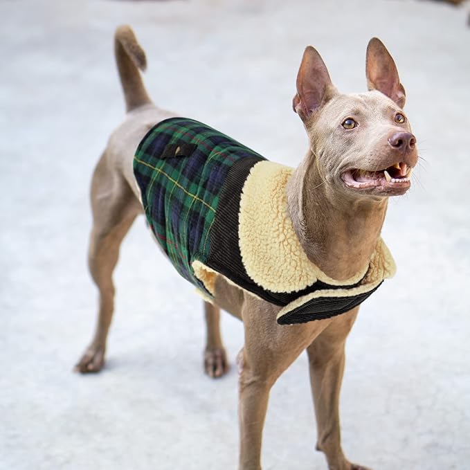 Preferhouse Winter Coat for Small and Medium Dogs, Puppy Plaid Jacket, Cotton Coat for Cold Weather, Windproof Warm Dog Garments, Pet Thickened Outfits Indoor Outdoor, Green S