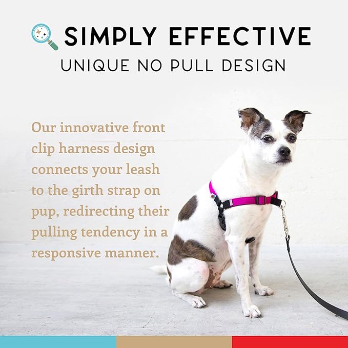 Wildebeest No Pull Dog Harness | Comfortable Dog Training Harnesses | Effective No Pull Harness Design | Ideal Dog Harness for Small Dog and Puppy | 4-Point Adjustable (XS - 15~20 inch Girth, Fuchsia)