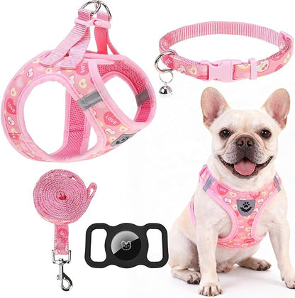 EXPAWLORER Small Dog Valentines Harness and Leash Set - Cute Puppy Harness Leash Dog Collar with AirTag Holder Silicone Case, Soft Padded Step in Pet Vest Reflective for Outdoor Walking, Heart M