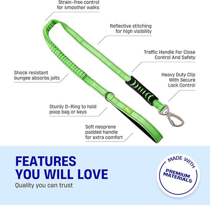 DF Co. Bungee Dog Leash | Strain Free & Shock Resistant for Control | Neoprene Padded Handle, Heavy-Duty Carabiner Clip, and D-Ring | Neon Green, Size Small