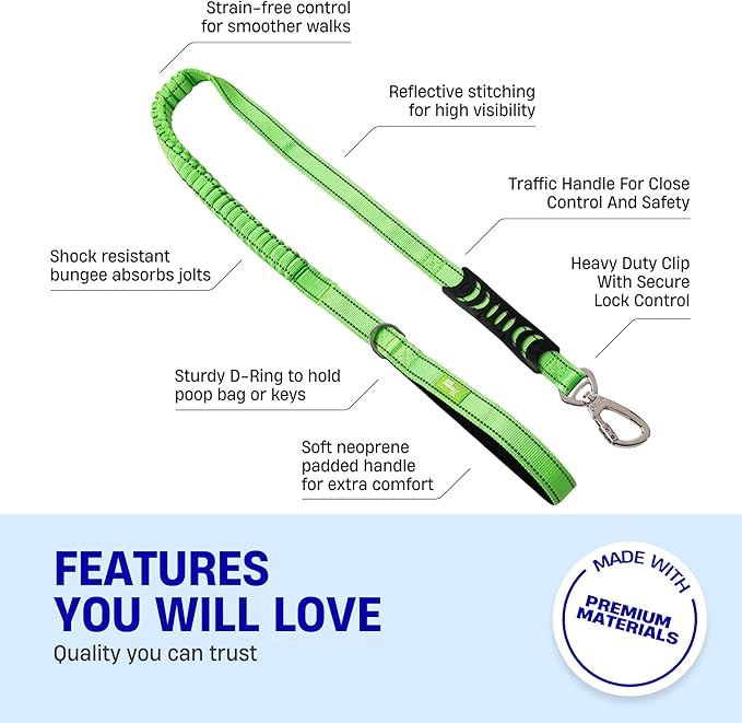 DF Co. Bungee Dog Leash | Strain Free & Shock Resistant for Control | Neoprene Padded Handle, Heavy-Duty Carabiner Clip, and D-Ring | Neon Green, Size Regular