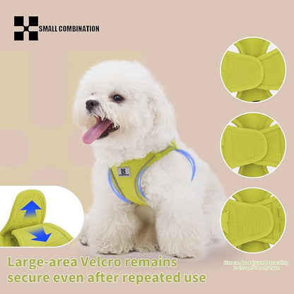 Adjustable Dog Harness with Leash, Reflective Mesh, No-Pull Design，Matching Lead Rope (Lemon Yellow, S)