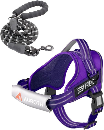 AUROTH Dog Harness and Leash Set, Soft Padded Dog Vest with 5.25FT Dog Leash, No Choke, Easy On Pet Vest, Adjustable Reflective No Pull Dog Harness for Large Dogs, Easy Walking and Training
