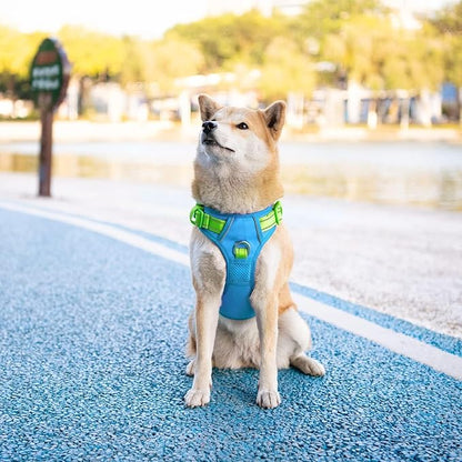 PHOEPET No Pull Dog Harness, Unique Colors Reflective Adjustable Dog Vest, with Soft Training Handle Metal Clips for Small Medium Large Dogs (Blue Base & Green Straps,XL)