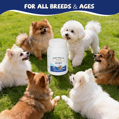 HAPWAG Hip and Joint Care Supplement with Glucosamine, Chondroitin, MSM for All Breeds and Ages Dogs - Chicken Flavor - 100 Chews