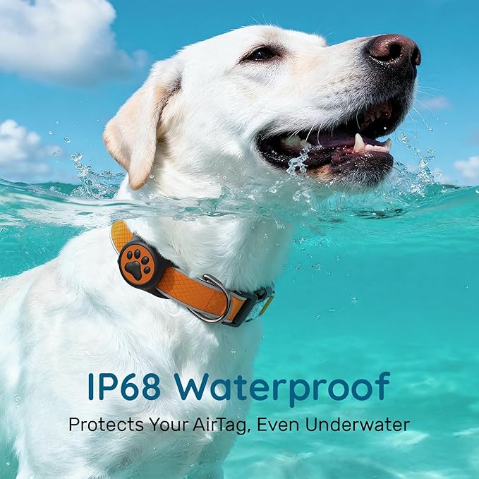 Reflective Dog Collar with Airtag Holder, IPX8 Waterproof Air Tag Dog Collar Holder | Ultra-Durable | Soft Padded | Safety Locking Buckle | Fit Small Dogs (Orange S(9.8"-15.7"))
