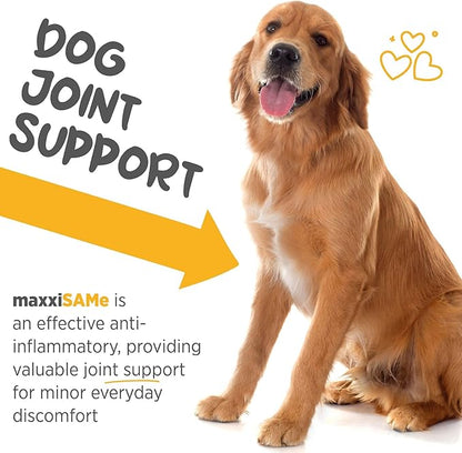 maxxipaws maxxiSAMe Advanced SAM-e Powder Supplement - Liver, Cognitive & Joint Support for Dogs, 5.3oz