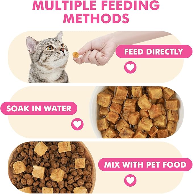 Puddonio Freeze Dried Cats & Dogs Raw Treats, All Natural Single Ingredient Salmon, High Protein Healthy Pet Training Treats or Food Topper, 3.5 oz