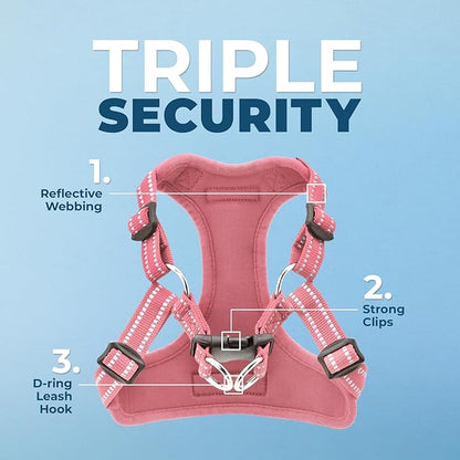 Best Pet Supplies Voyager Adjustable Step-in Flex Breathable Mesh Dog Harness for Small Medium Large Dogs Leash Set (Pink), S