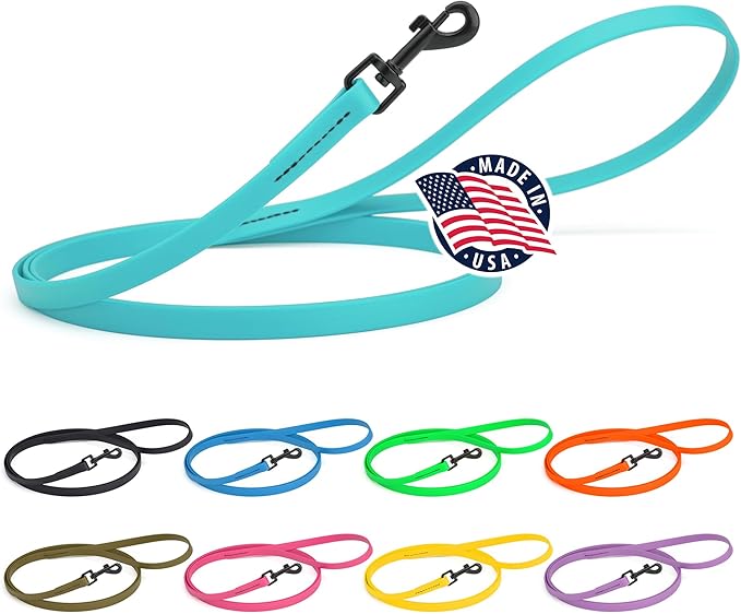 Dogline Biothane Waterproof Dog Leash Strong Coated Nylon Webbing with Black Hardware Odor-Proof Easy to Clean High Performance for Small or Large Dogs Made in USA 4 or 6 ft Lead, Sky Blue