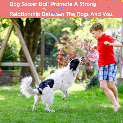 Domchan Dog Soccer Ball, Interactive Toys for Tug of War, Puppy Birthday Gifts, Tug Toy, Water Toy, Durable Balls for Small & Medium Size(6 inch-Pink)